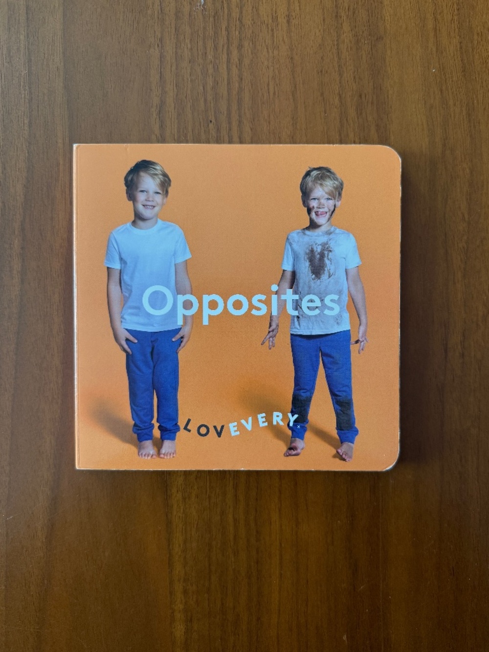 Lovevery Book Opposites